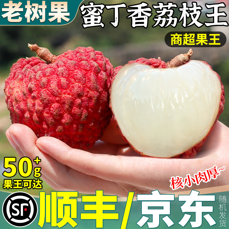 顺丰发货蜜丁香荔枝5斤送礼佳选