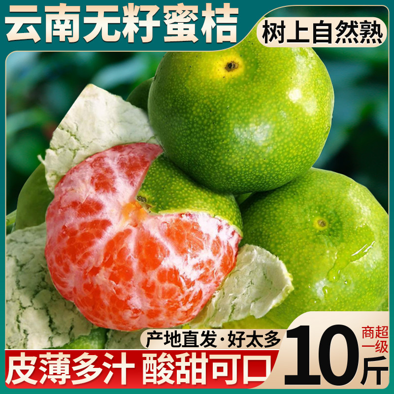 10斤正宗云南青皮蜜桔新鲜橘子当季时令水果特早桔子橘整箱包邮10