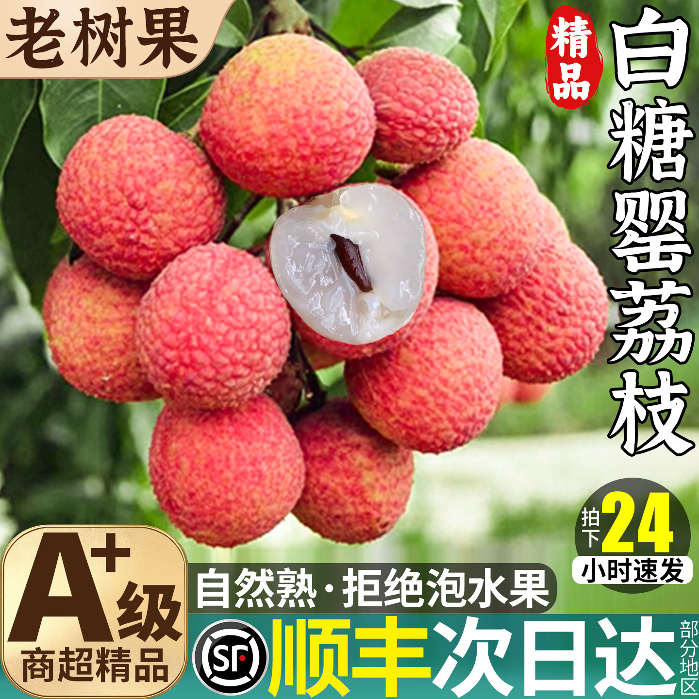 顺丰8斤广东茂名白糖罂荔枝新鲜现摘现发水果整箱包邮2026果现摘