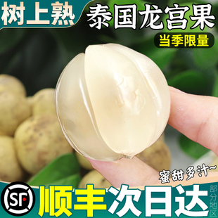 顺丰大果 泰国进口龙宫果5斤新鲜水果热带龙贡果罕见当季整箱包邮