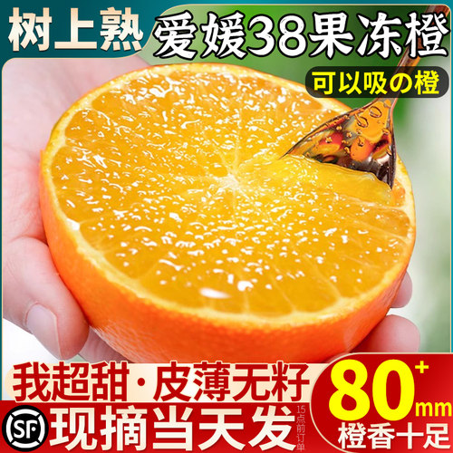 不甜包赔丨顺丰9斤爱媛38果冻橙