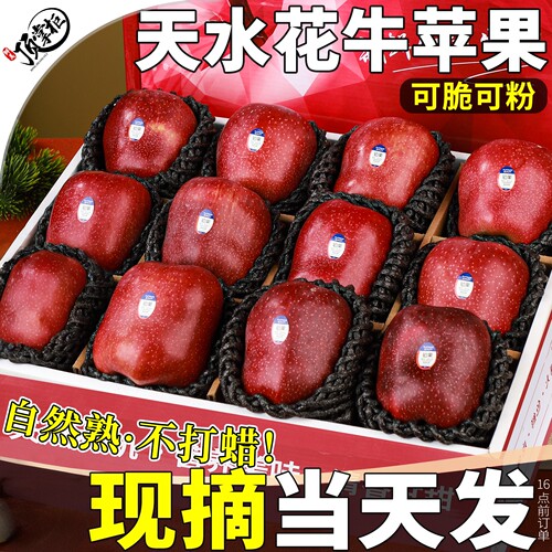 5斤 正宗甘肃天水花牛苹果蛇红果小孩老人粉面沙甜苹果脆新鲜水果