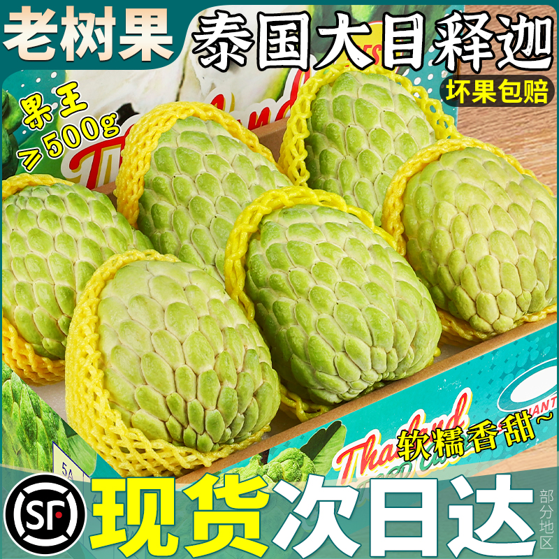 顺丰次日达丨纯甜软糯丨大目释迦