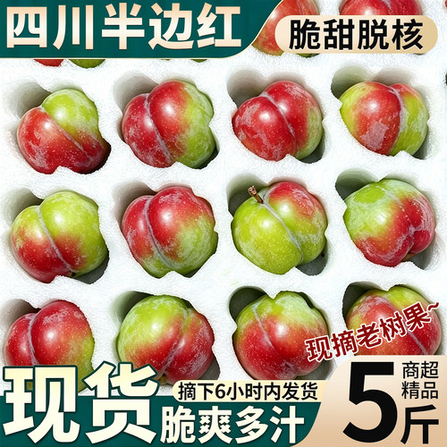 现货闪发丨脆甜脱核丨四川半边红