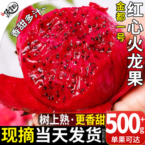 顺丰净重丨树上熟精品红心火龙果