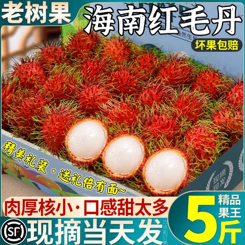 5A|海南红毛丹清甜可口