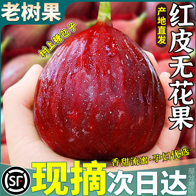 顺丰丨纯甜流蜜丨5斤红皮无花果
