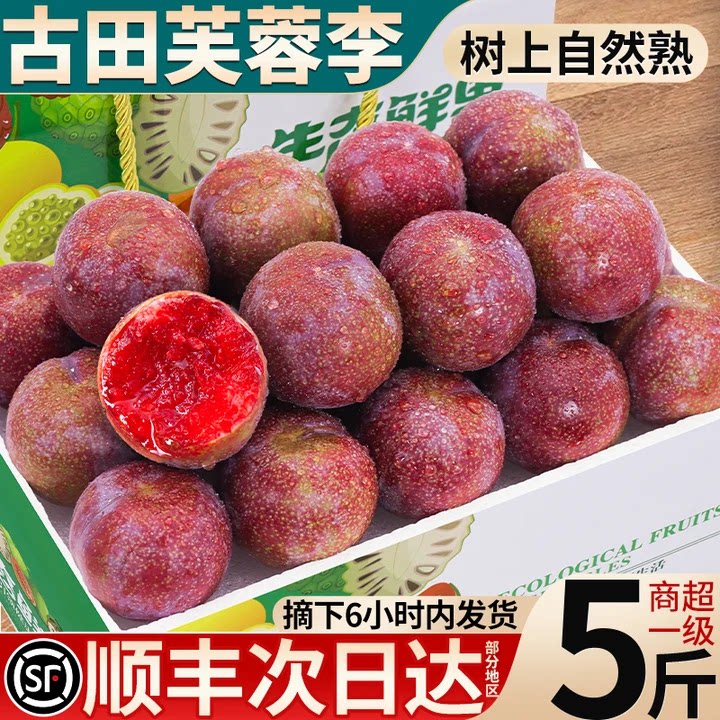顺丰包邮丨坏果包赔丨古田芙蓉李