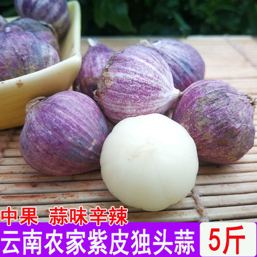 云南紫皮独蒜农家珍干蒜红皮蒜