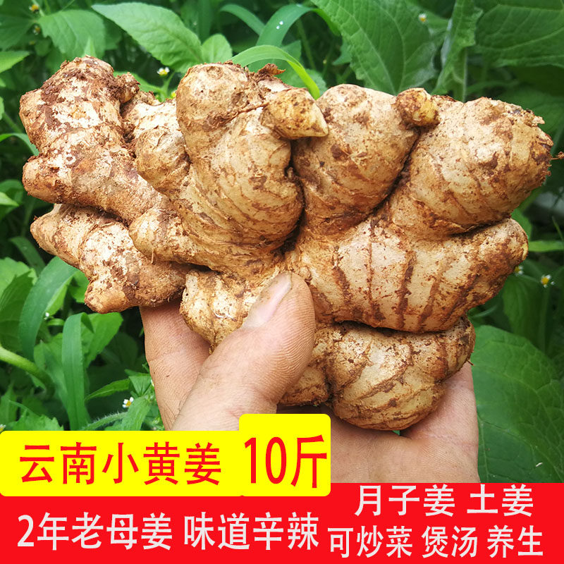新鲜罗平农家斤装云南小黄姜