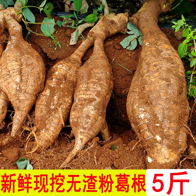 云南葛根新鲜平粉葛无渣现挖大山野葛薯广东煲汤解酒生5斤包邮