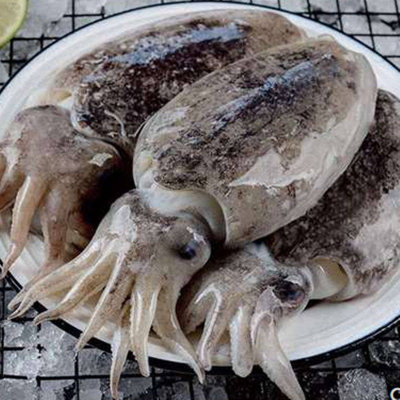 舟山墨鱼东海海鲜乌贼大墨斗鱼花枝目鱼冷冻新鲜速冻水产