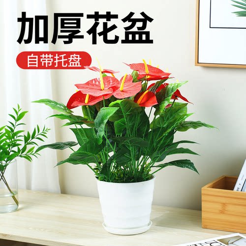 红掌客厅阳台走廊酒店宾馆假花
