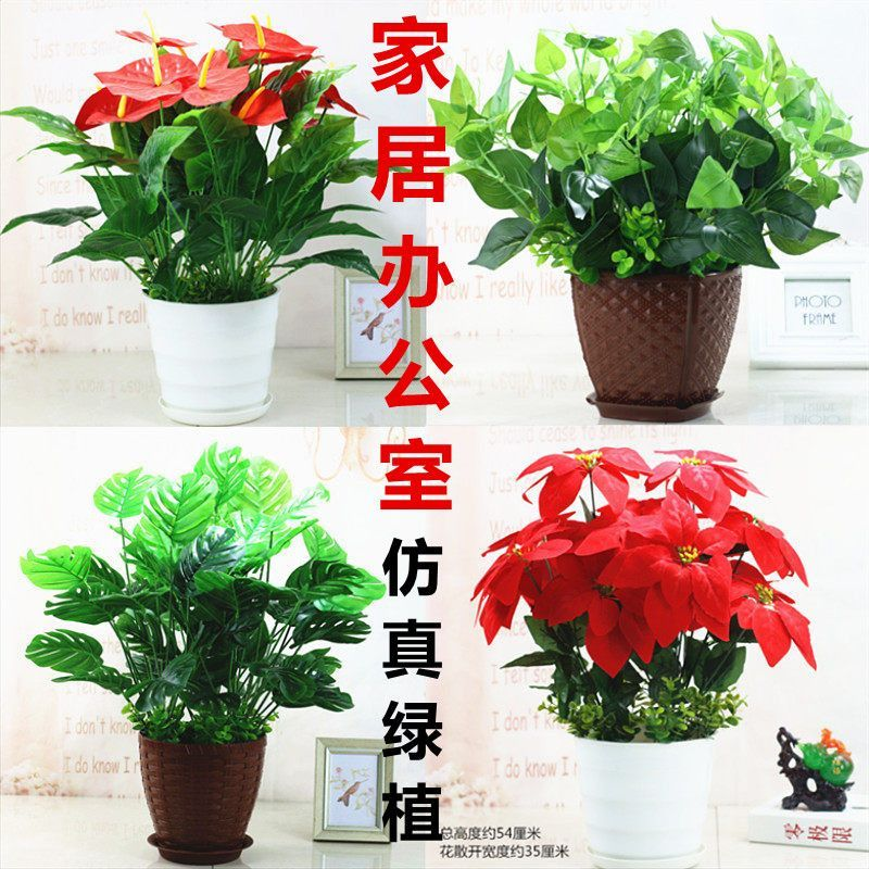 仿真红掌绿植假花一品红圣诞花客厅装饰物落地盆栽摆设舞台盆景花