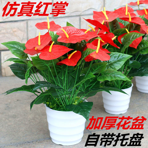 红掌客厅阳台走廊酒店宾馆假花