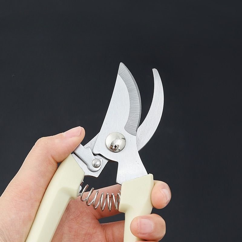 剪枝果树修枝剪刀园艺园林修花枝剪家用强力剪子神器花剪剪枝剪刀