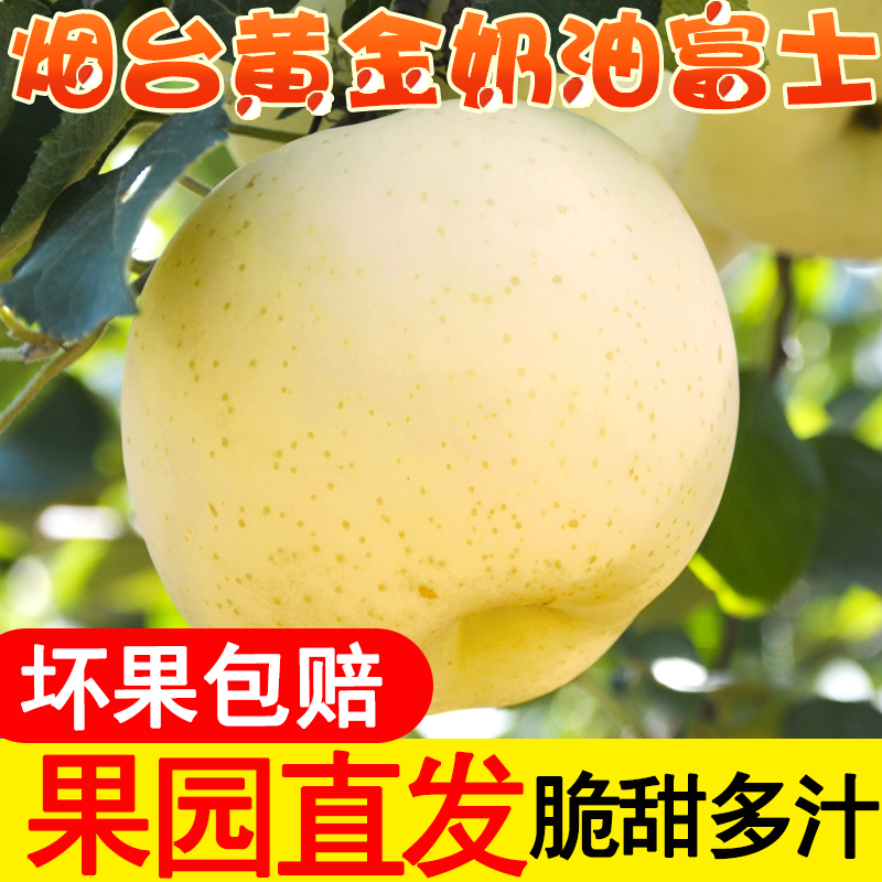 烟台奶油富士钰果香园新鲜甜