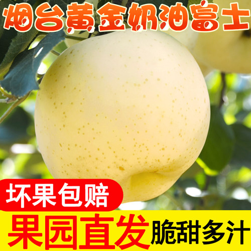 烟台奶油富士钰果香园新鲜甜