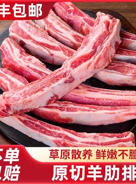 原切手抓羊排新鲜散养羔羊羊肋排手把羊肉煲汤添加烧烤红烧食材