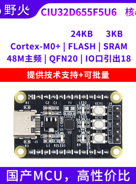 野火华大CIU32D655F5U6核心板32位ARM单片机最小系统板M0+内核48M