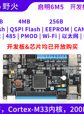 野火RA6M5开发板 ARM开发板 瑞萨R7FA6M5BH3CFC,RENESAS RA单片机