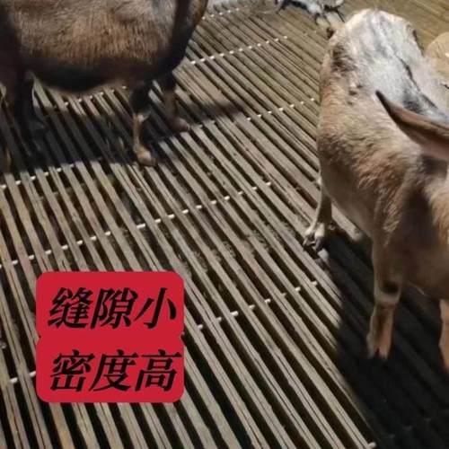 羊床板加厚竹笆子竹排羊粪板架子篱笆羊圈用竹子漏粪板养鸡鸭鹅