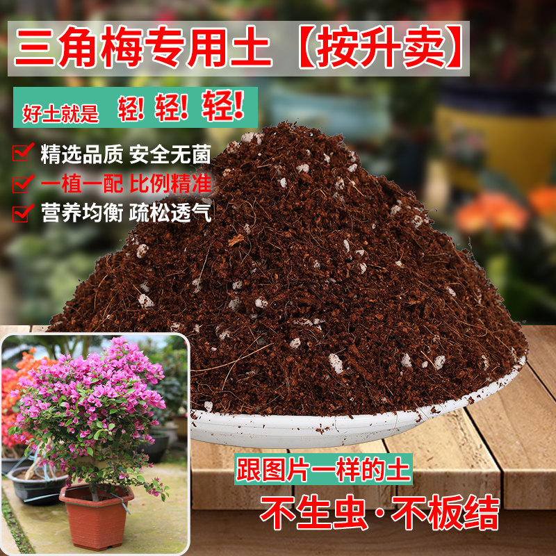 三角梅专用土营养土花土开花盆栽土壤肥料泥土种植土培养土通用