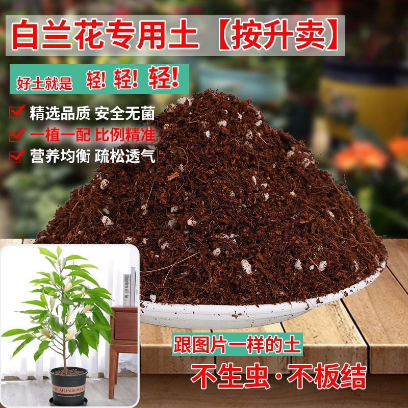 白兰花专用土嫁接黄玉兰花苗培植土通用型营养土树苗弱酸性土精配-封面