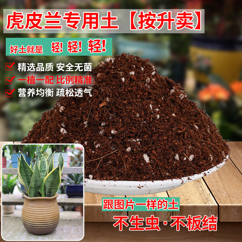 虎皮兰专用土盆栽土养花泥土家庭阳台种植土透气虎皮兰肥料营养土