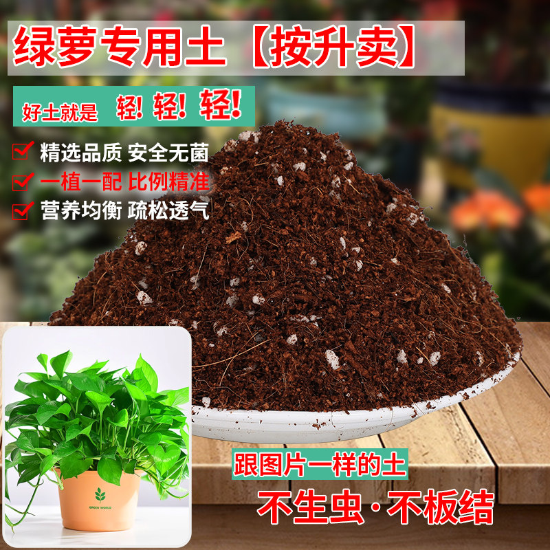 绿萝营养土专用土壤肥料家用花卉土泥土种植土植物土盆栽发酵疏松