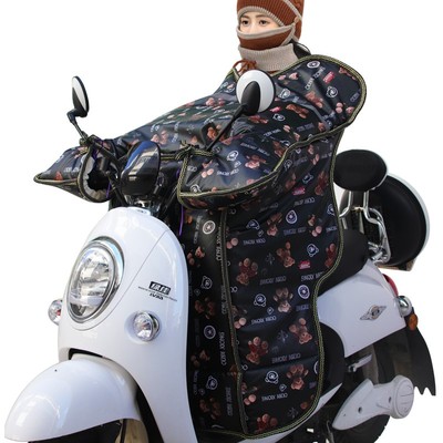 双面防水小号普通型电动车挡风被