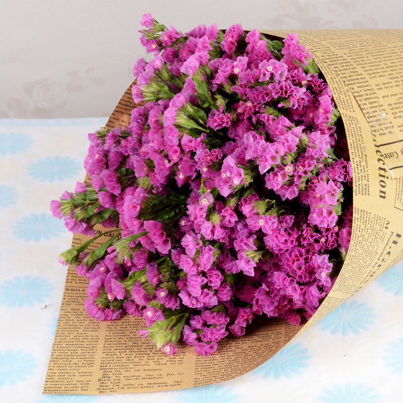 餐桌勿忘我干花花束家居摆设小清新客厅云南装饰插花情人草