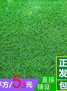 仿真草坪塑料绿植幼儿园人工草皮户外草皮墙绿色地毯垫子人造草坪