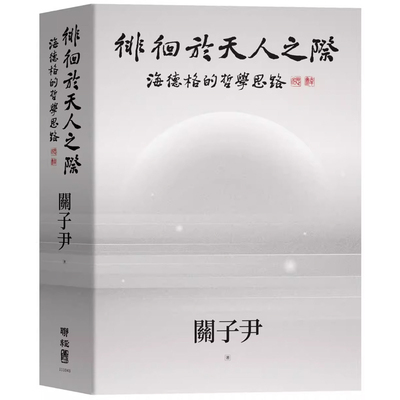 海德格的哲学思路关子尹联经