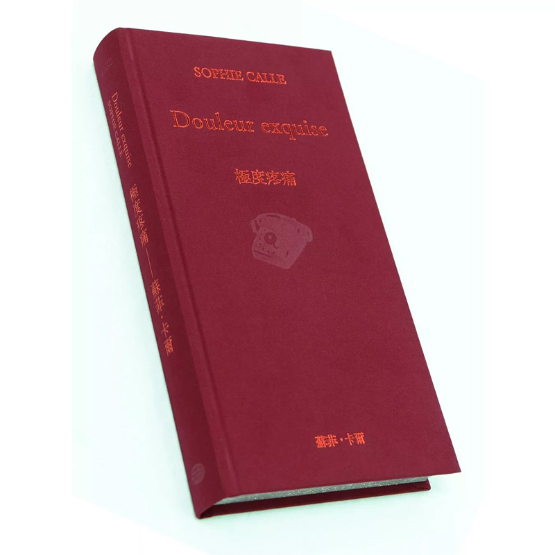 苏菲卡尔SophieCalle大家