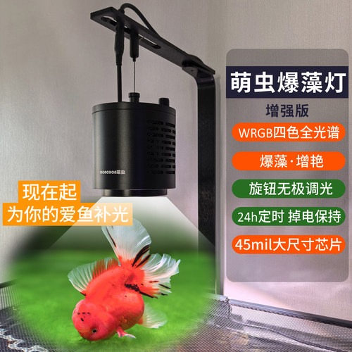 萌虫金鱼增色爆藻灯筒灯