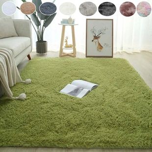 Plush Carpet Living Room Sofa Coffee Table Rug Green Pink Fl