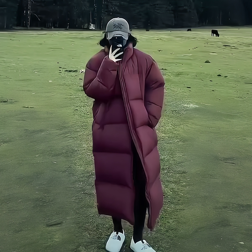 晶煊女神保命立领长款羽绒棉服