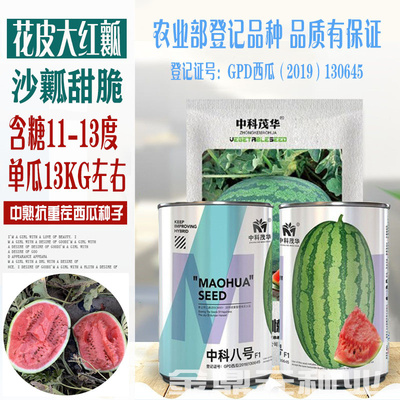 中科茂华正宗西瓜种子超甜