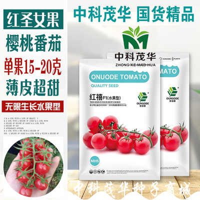 中科茂华蔬菜种子西红柿