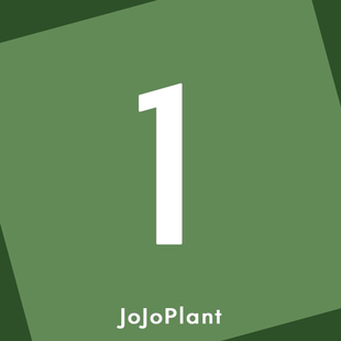 浇浇植物超市直播间JOJOplant 直播链接1