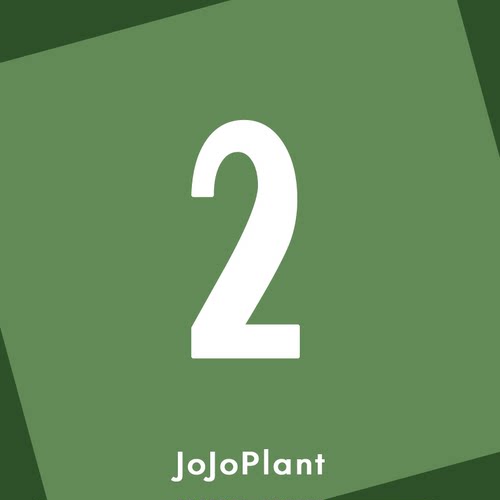 ZB【直播链接2】浇浇植物超市JOJOplant