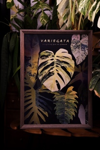 饰生日礼物植物挂画 热植图谱家居装 浇浇植物超市 光栅画