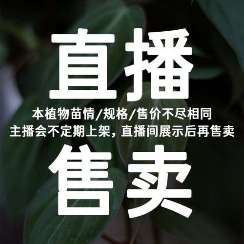 【直播链接5】浇浇植物超市JOJOplant