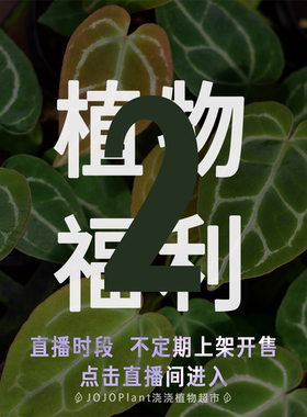 【植物福利2】浇浇植物超市JoJoplant