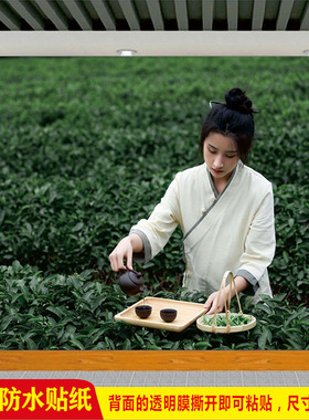 茶叶店茶道文化采茶少女茶园海报