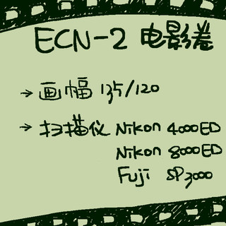 【1350Film】ECN-2电影卷-135/120画幅-胶卷冲扫 胶片扫描 冲印