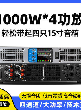 数字功放大功率专业进口