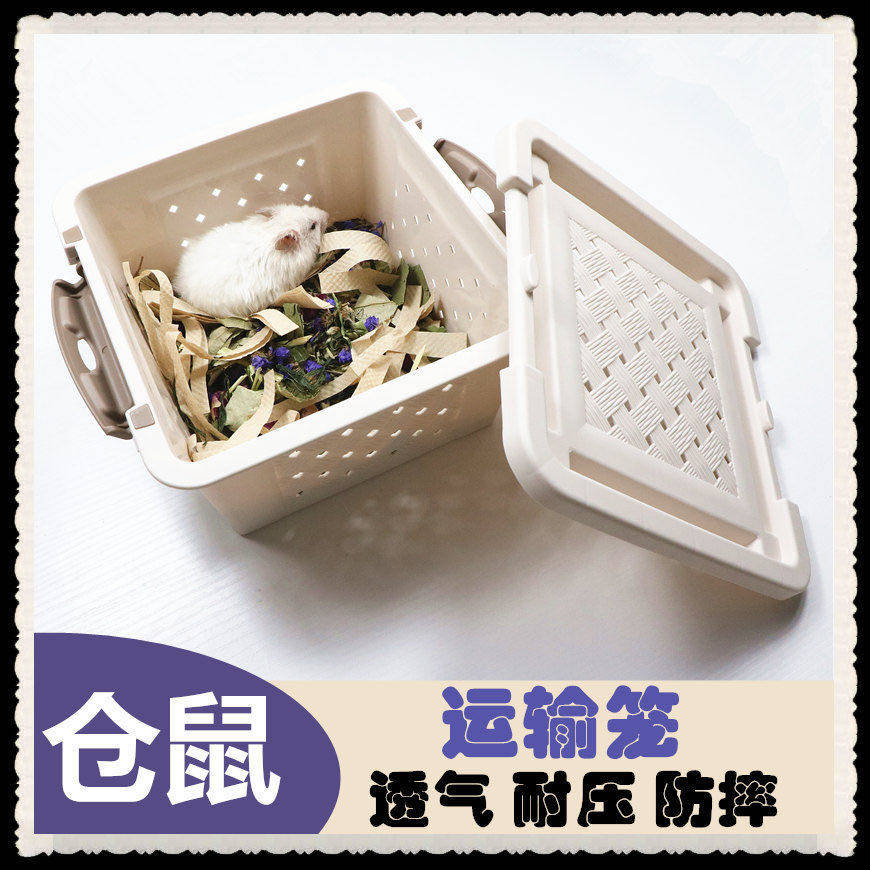 运输盒透气带孔储物箱活体金丝熊