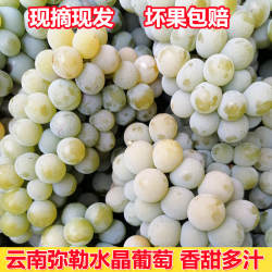 云南弥勒特产现摘水晶葡萄新鲜水果当季整箱农家自种净重3斤包邮